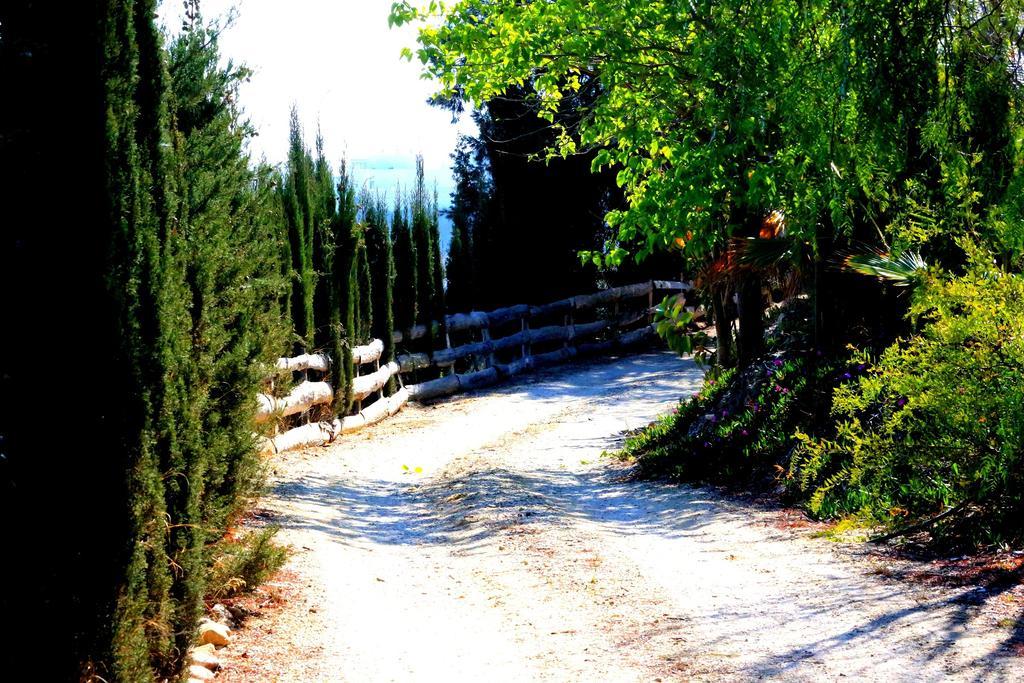 Cortijo De La Media Luna Mojácar Dış mekan fotoğraf